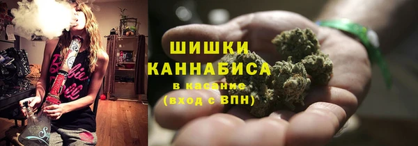 PSILOCYBIN Арсеньев