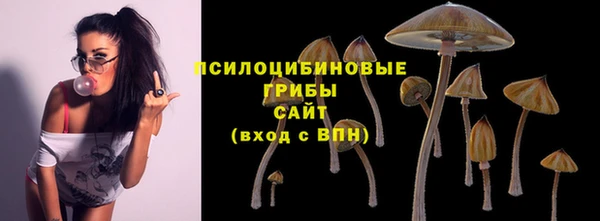 соль ск Аркадак