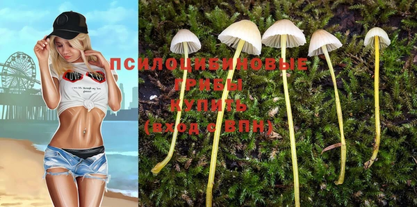 PSILOCYBIN Арсеньев