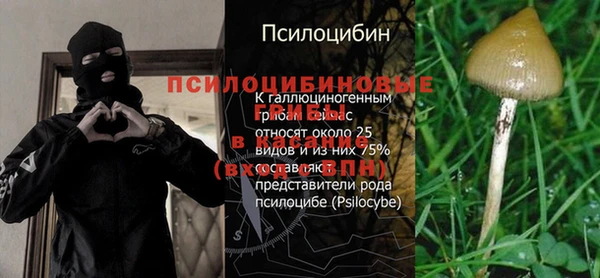 соль ск Аркадак