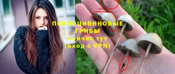 соль ск Аркадак