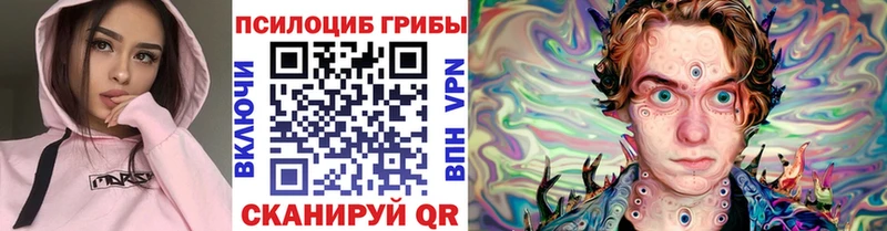 OMG ТОР  Верхнеуральск  Галлюциногенные грибы мицелий 